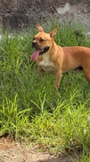 BILLY Imagen 2